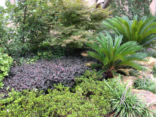 银河集团官网的愿景与理念