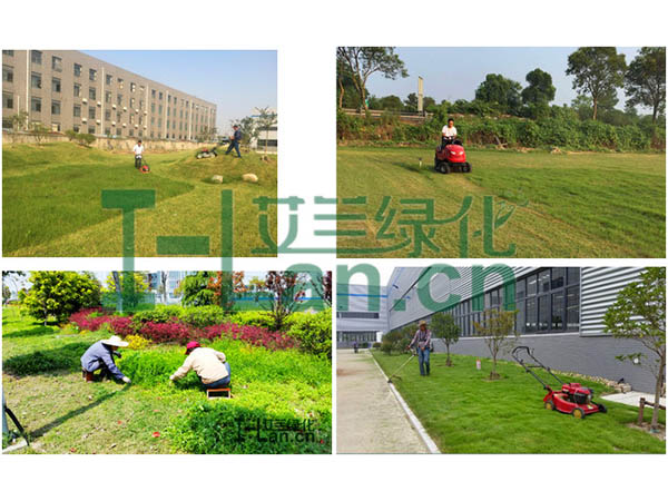 都会园林绿化的要点有哪些？？？？？？